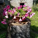 La Casa Del Girasole *
