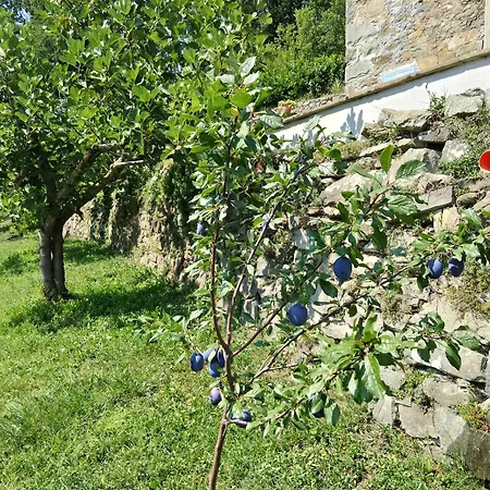 La Casa Del Girasole Сasa de vacaciones *