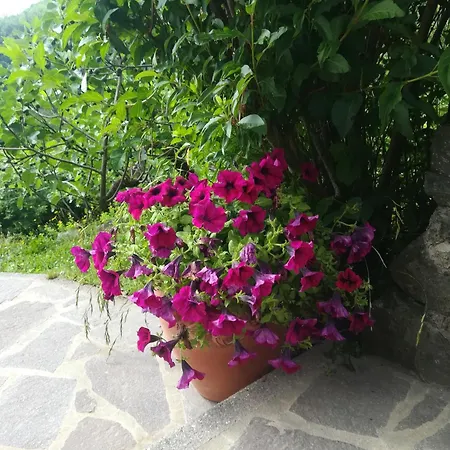 La Casa Del Girasole Сasa de vacaciones