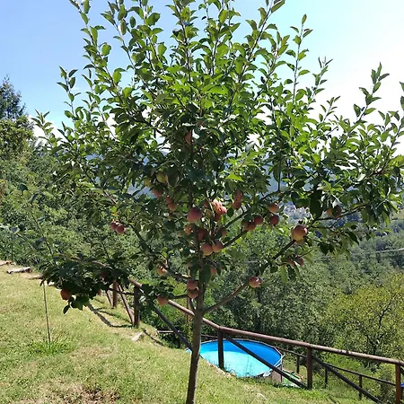La Casa Del Girasole