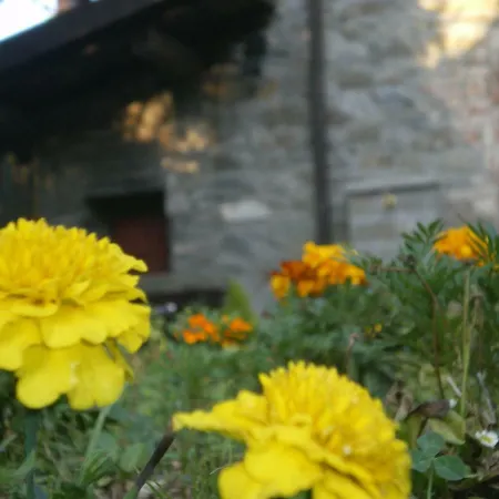 La Casa Del Girasole * Piazza al Serchio